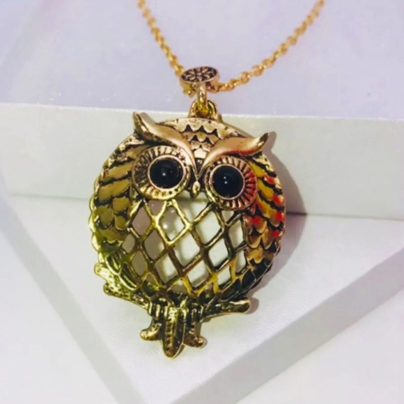 "OUTSTANDING OWL!" BEAUTIFUL MAGNIFYING GLASS NECKLACE NEW! - Picture 1 of 4